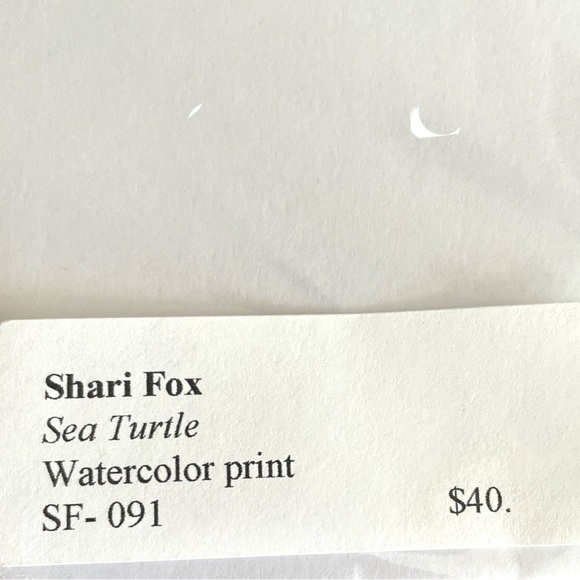 Sea Turtle print, nicely matted and ready to frame, 14 x 11 inches including mat - Picture 3 of 3